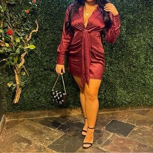 Silk Cheeta Classy Tied Cocktail Dress Collared